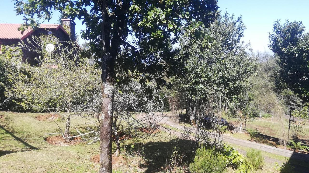Pico Pedras