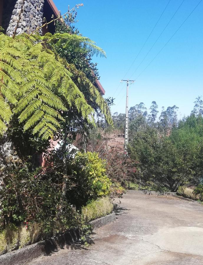 Pico Pedras * Santana (Madeira)